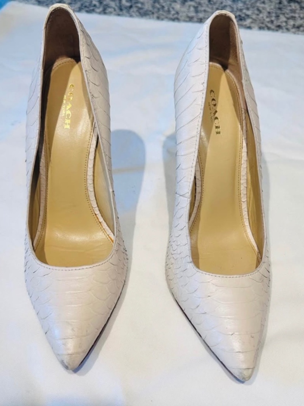 Coach Leather Pointed-Toe Pumps Cream Snakeskin